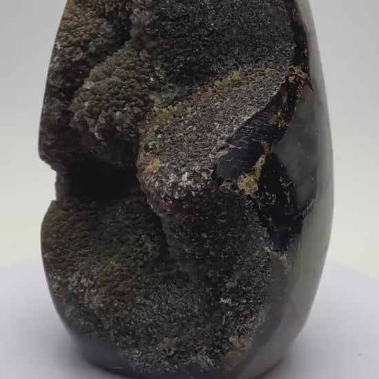 Dragons Egg Septarian Nodule
