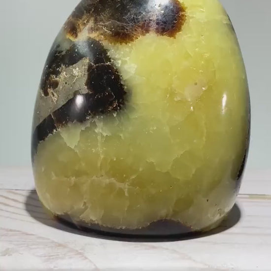 Septarian Nodule freeform