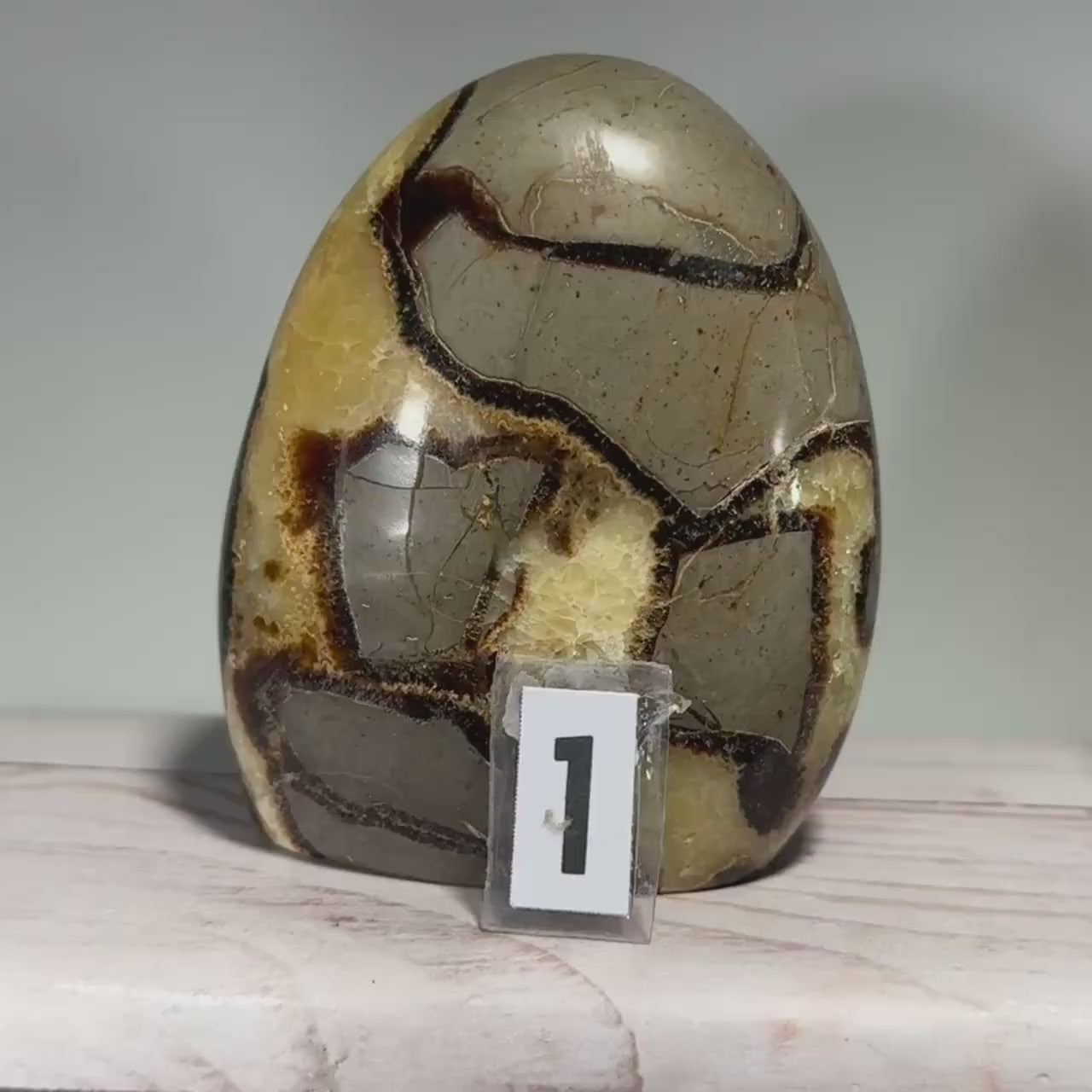 Polished Septarian Nodule