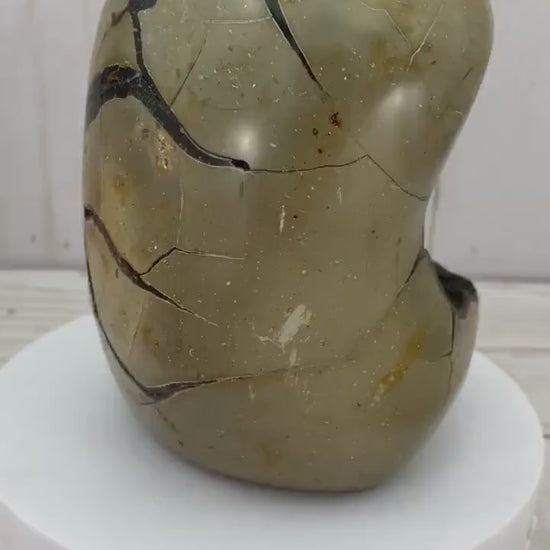 Dragons Egg Septarian Nodule