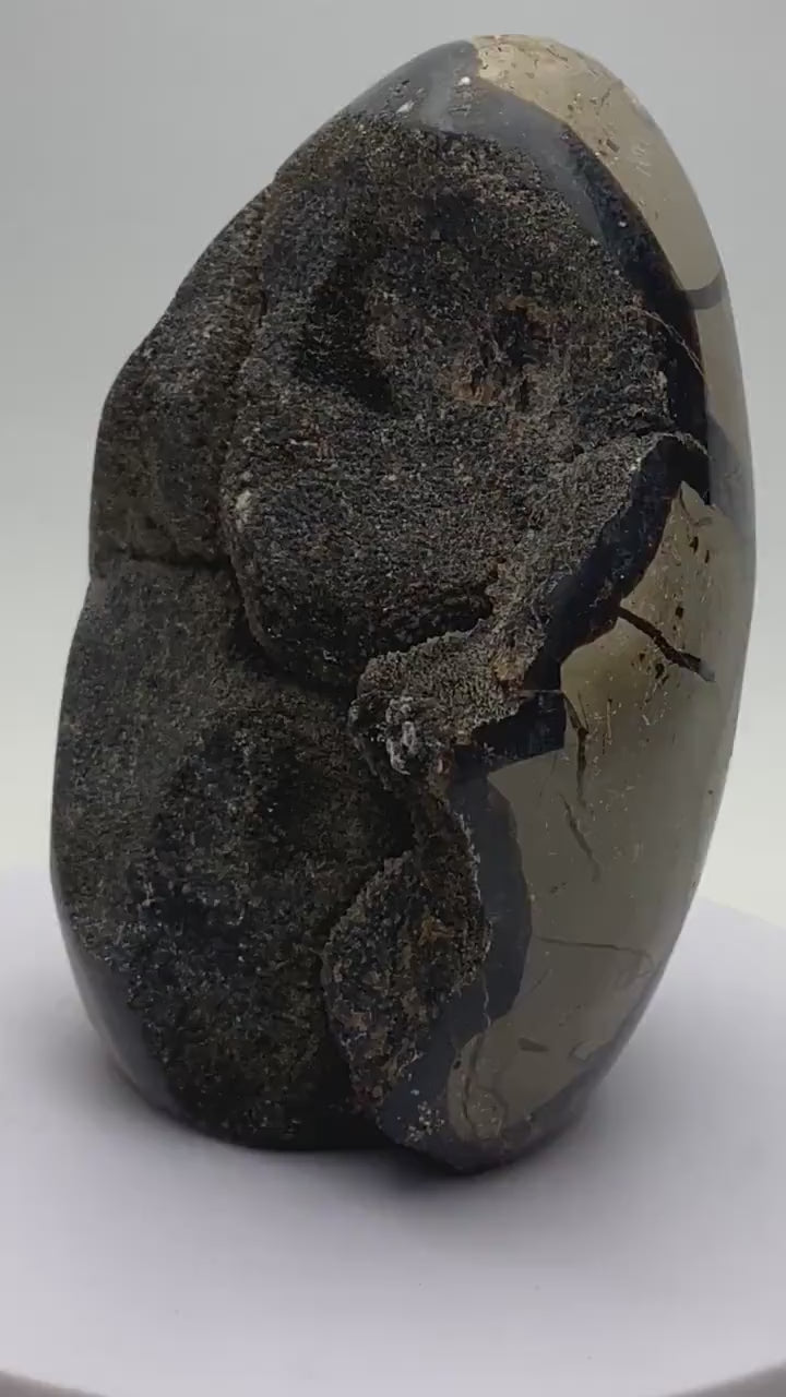 Dragons Egg Septarian Nodule