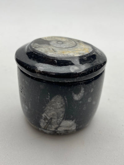 Fossil gift box, natural black Orthoceras fossils - RocciaRoba