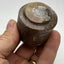 Fossil gift box, natural brown Orthoceras fossils - RocciaRoba
