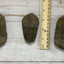 Trilobite fossil, Calymen trilobite