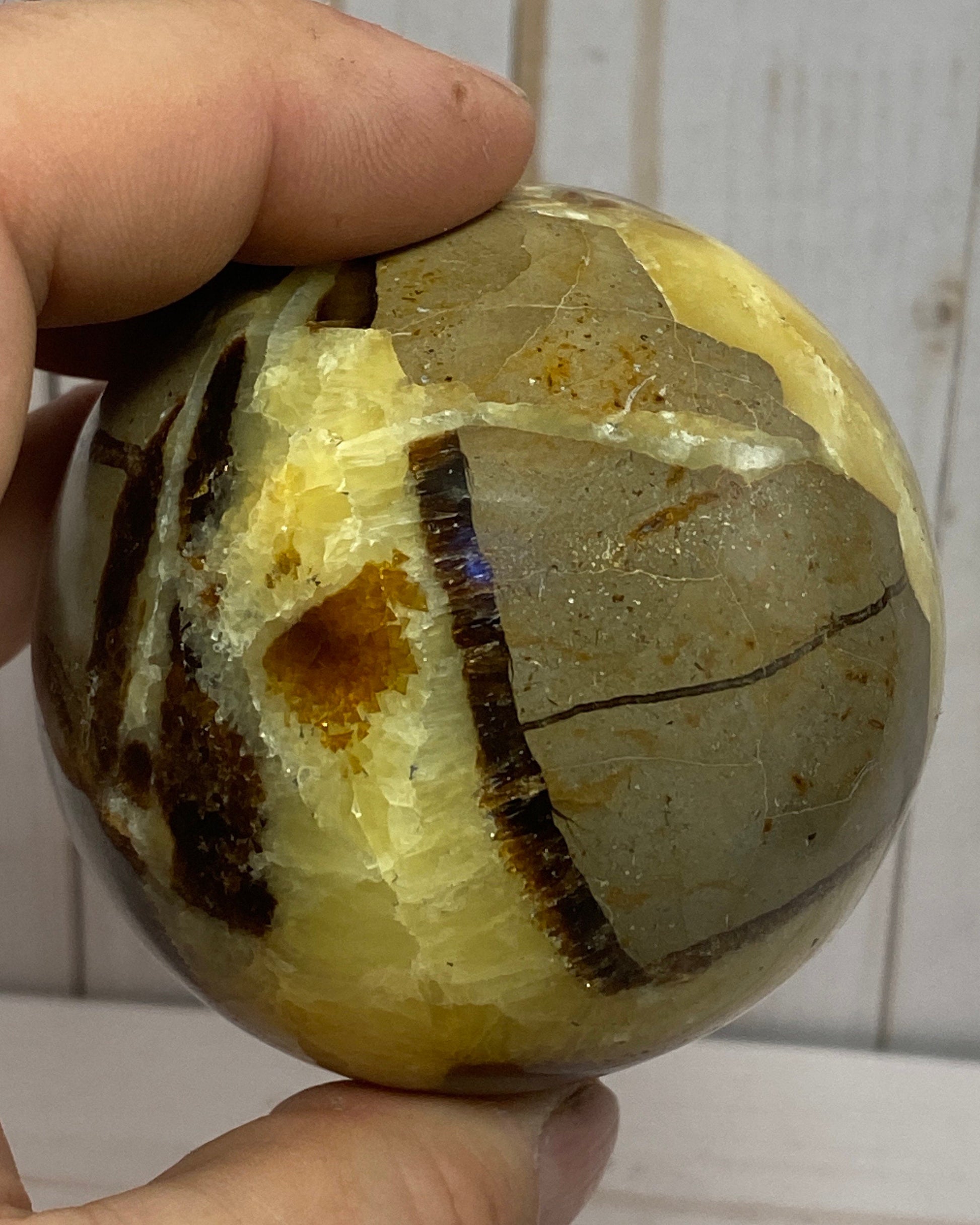 Septarian nodule sphere in acrylic stand
