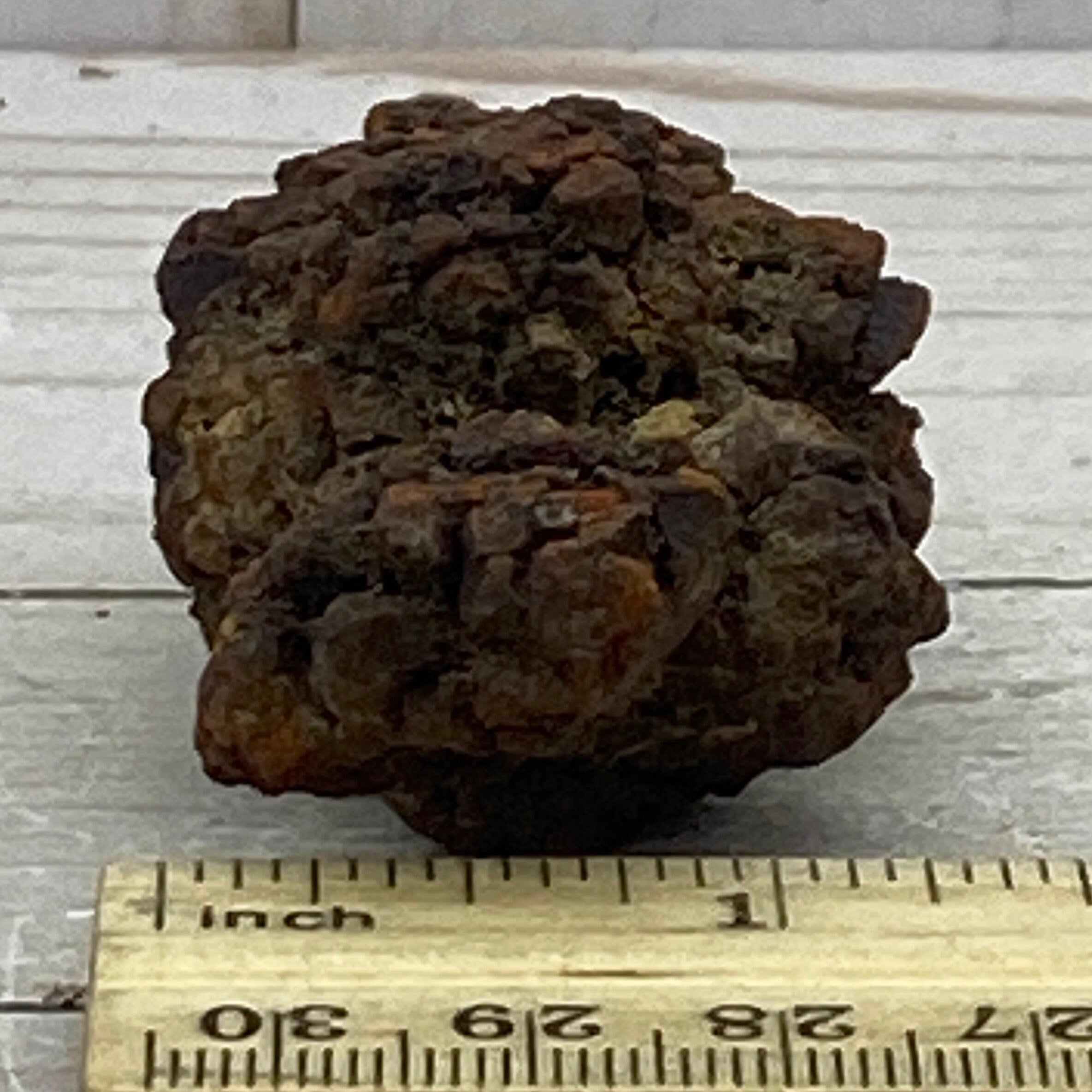 Coprolite, Dinosaur fossil