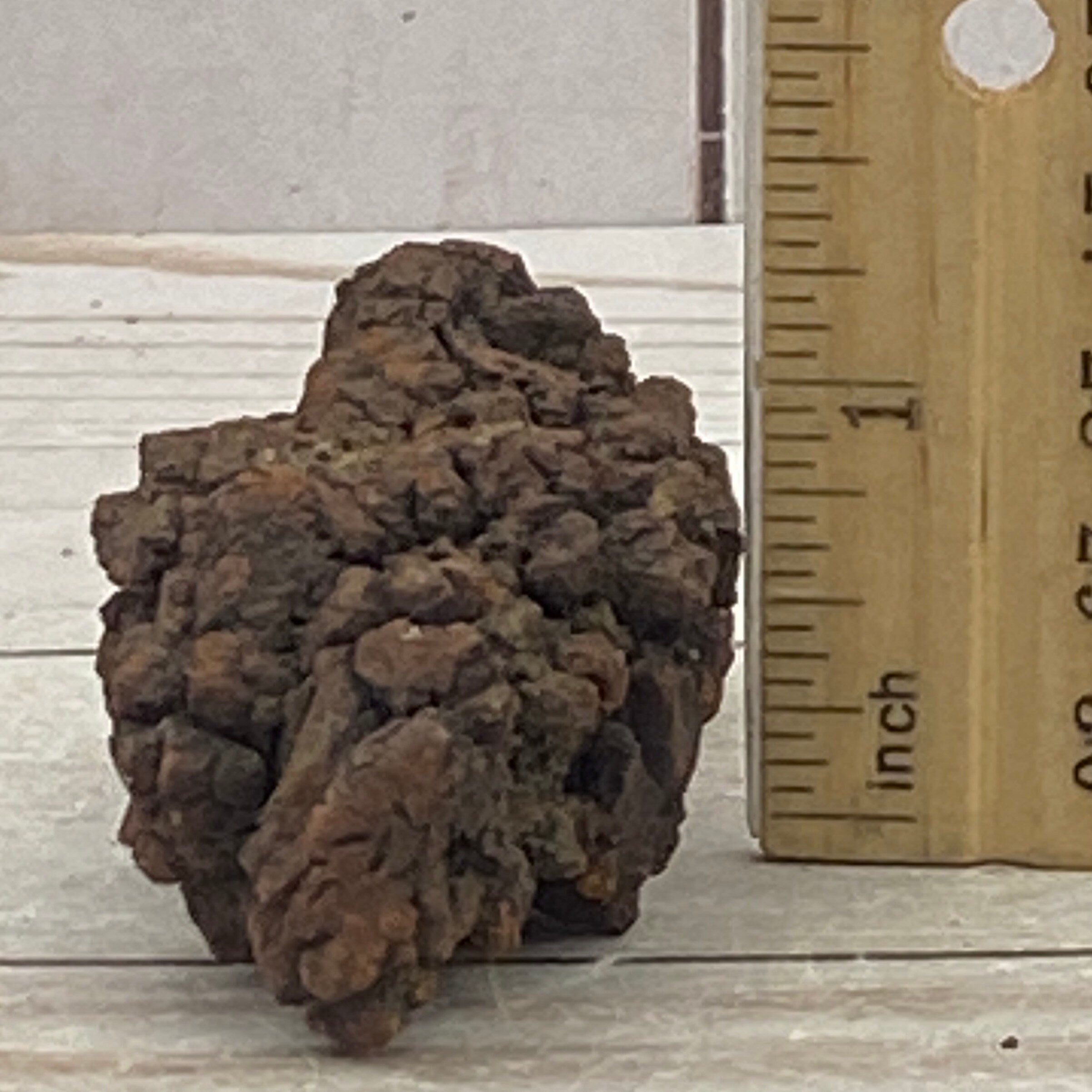 Coprolite, Dinosaur fossil