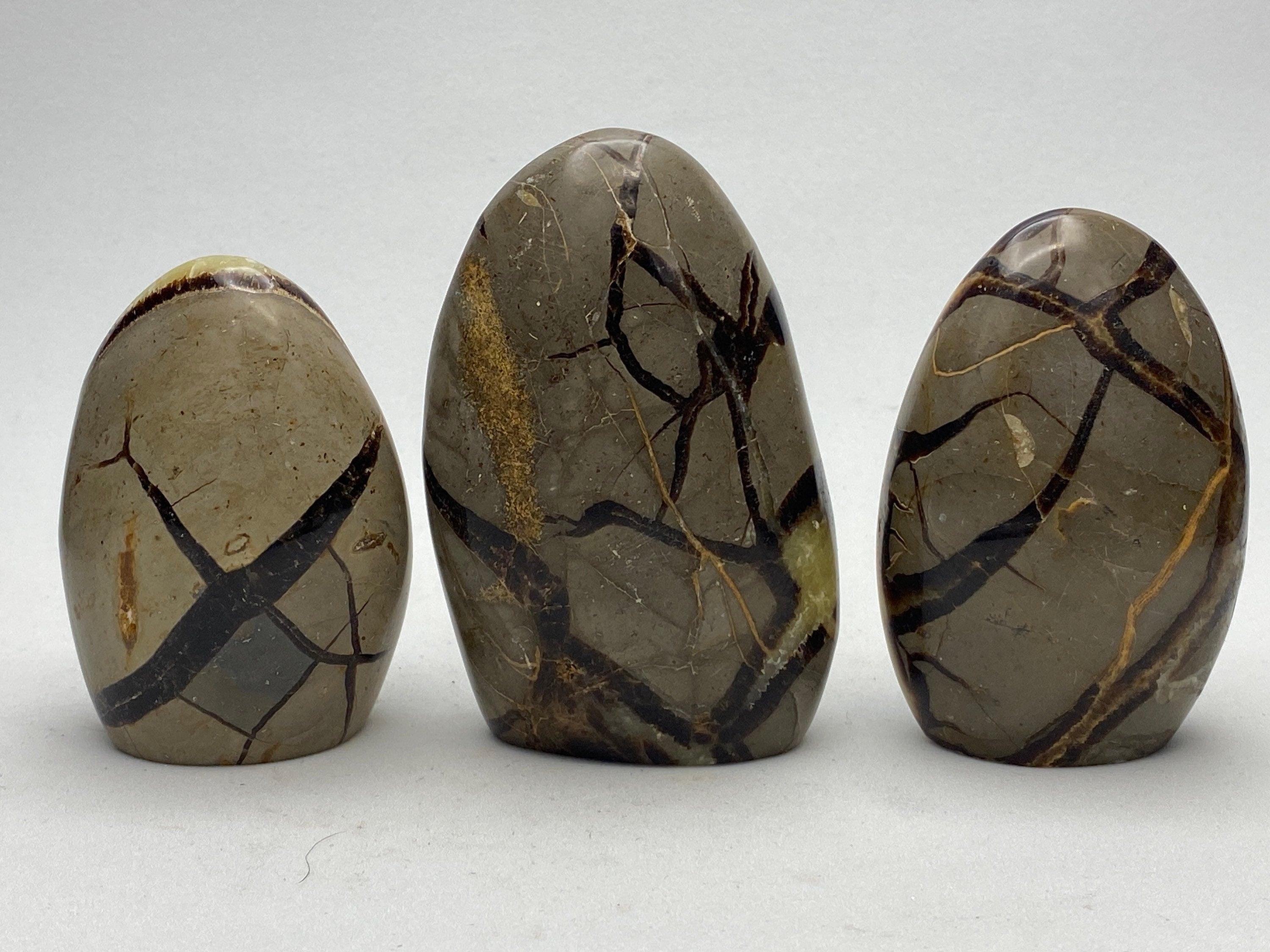 Septarian Nodule, dragon's egg, freeform