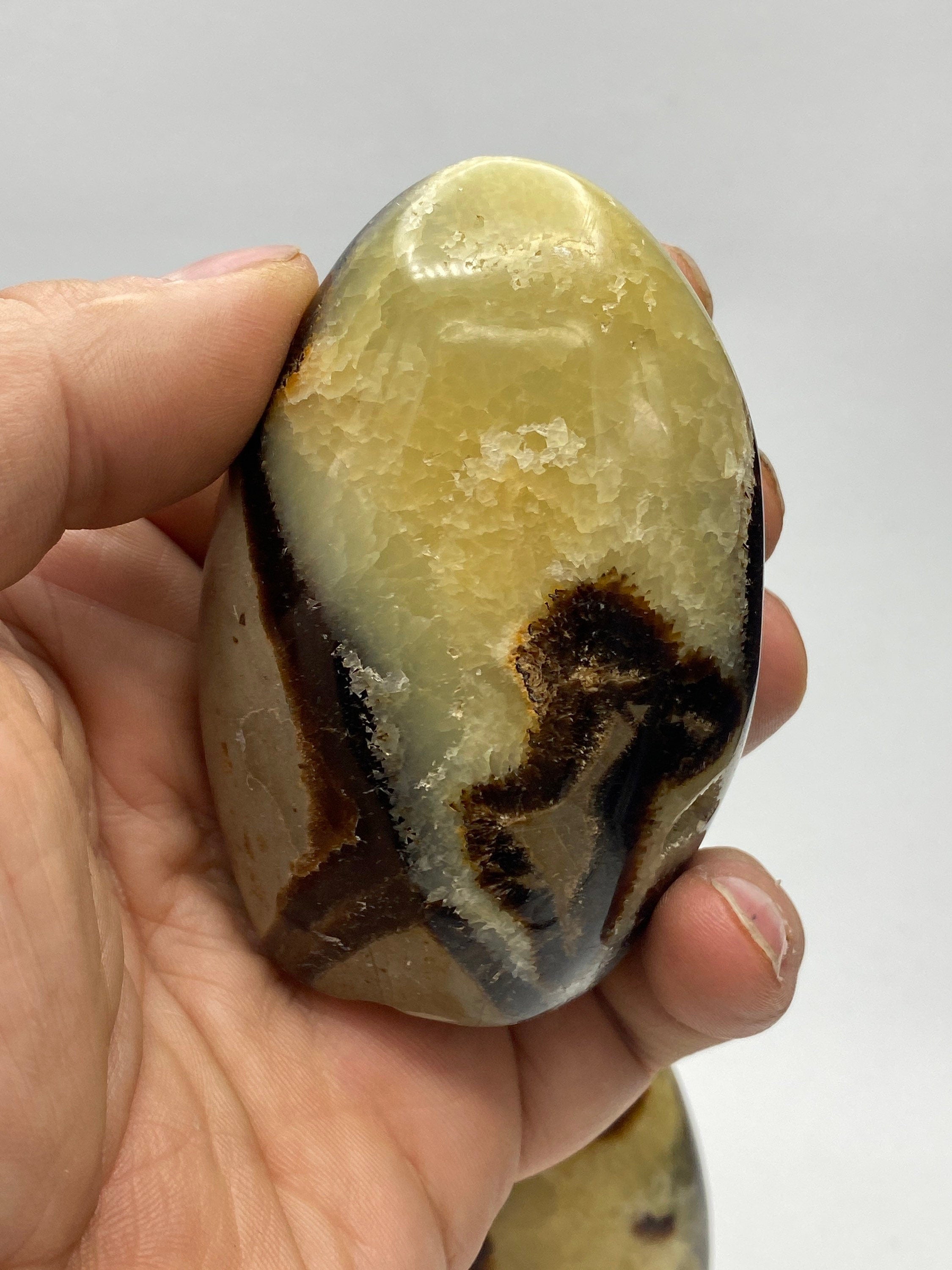 Septarian Nodule, dragon's egg, freeform