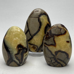 Septarian Nodule, dragon's egg, freeform