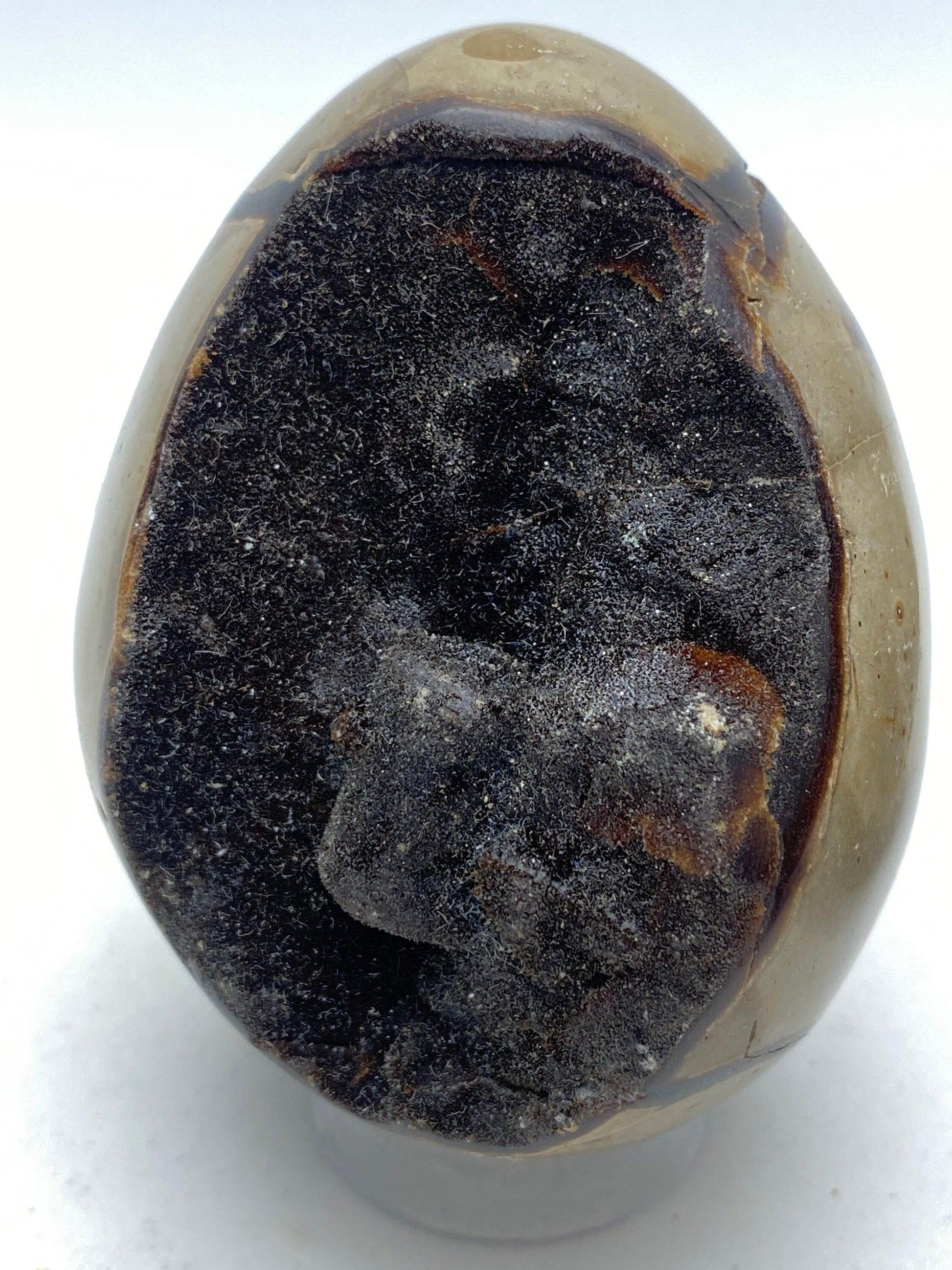 Dragons Egg Septarian Nodule - RocciaRoba