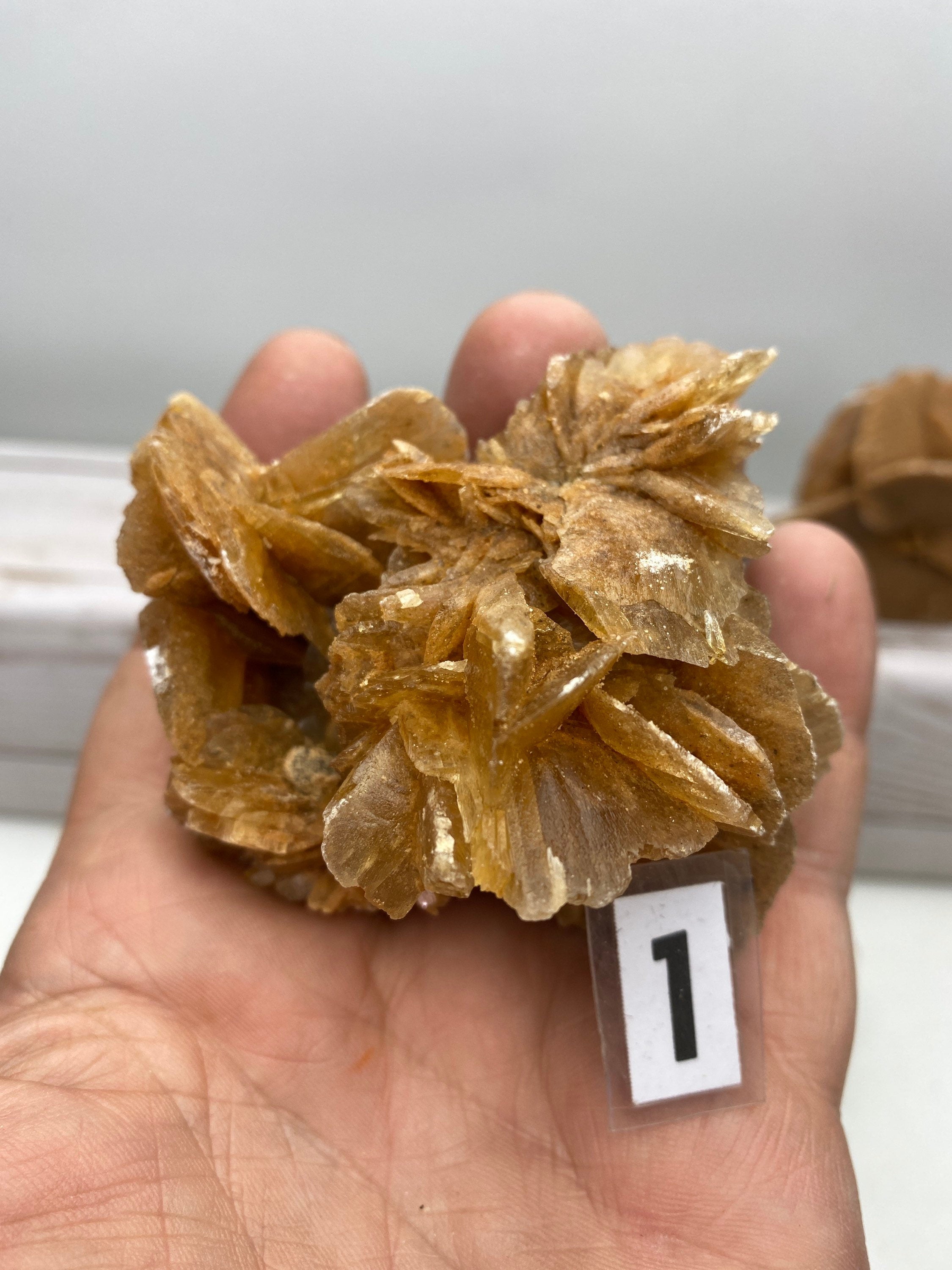 Selenite Desert Rose