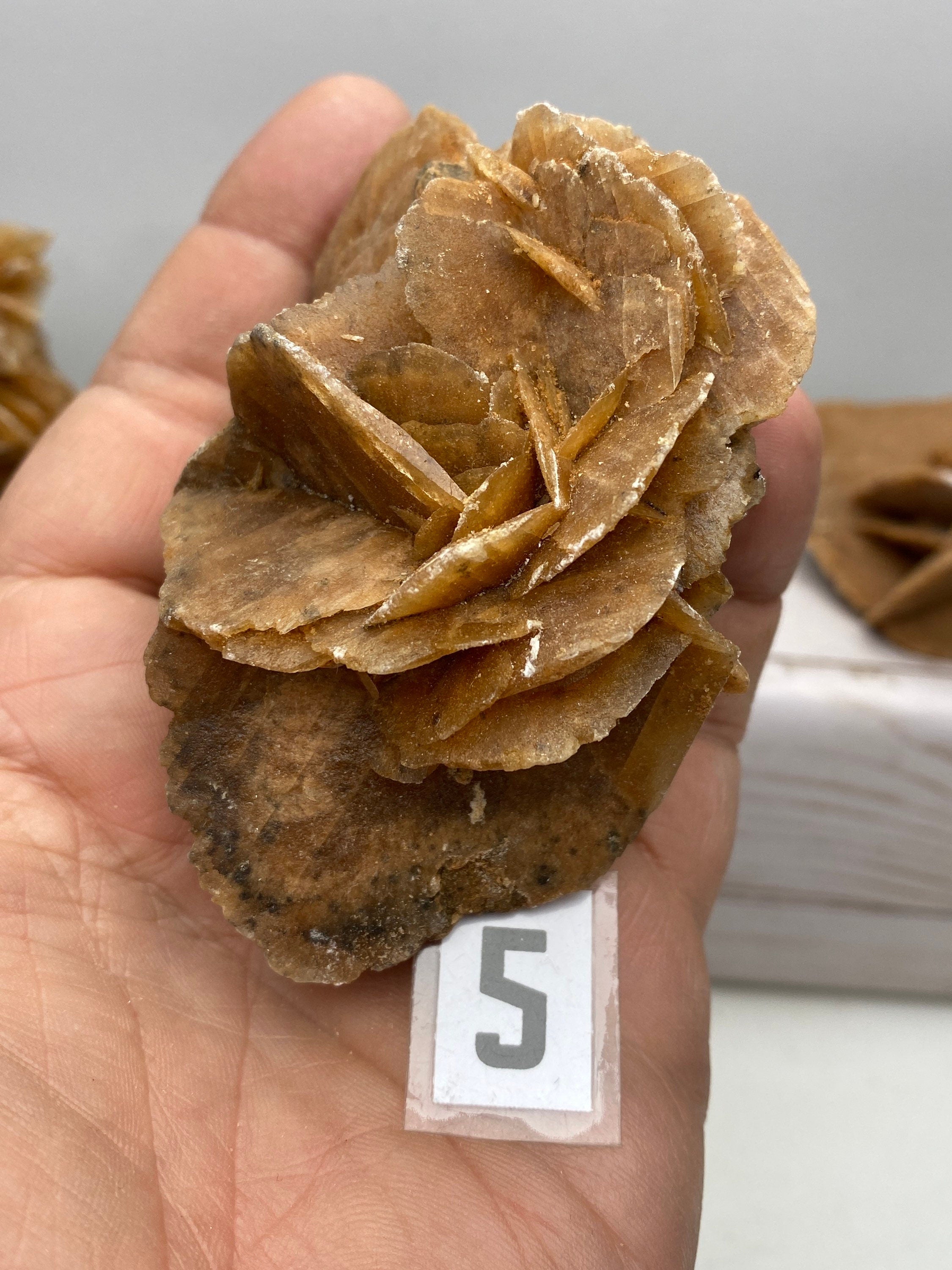 Selenite Desert Rose