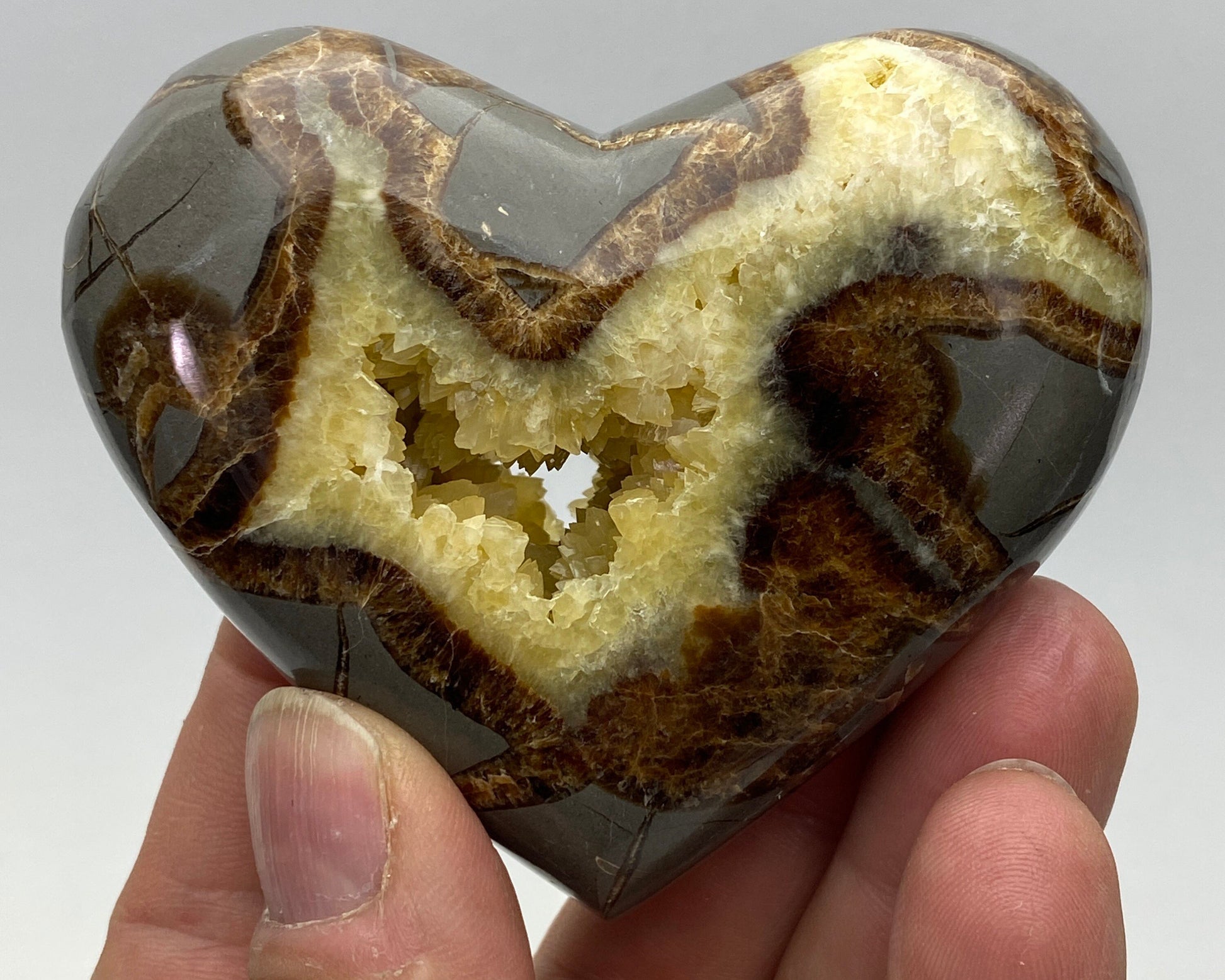 Heart-shaped Septarian Nodule