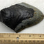 Real Fossil Megalodon Tooth, 4.5 inches long