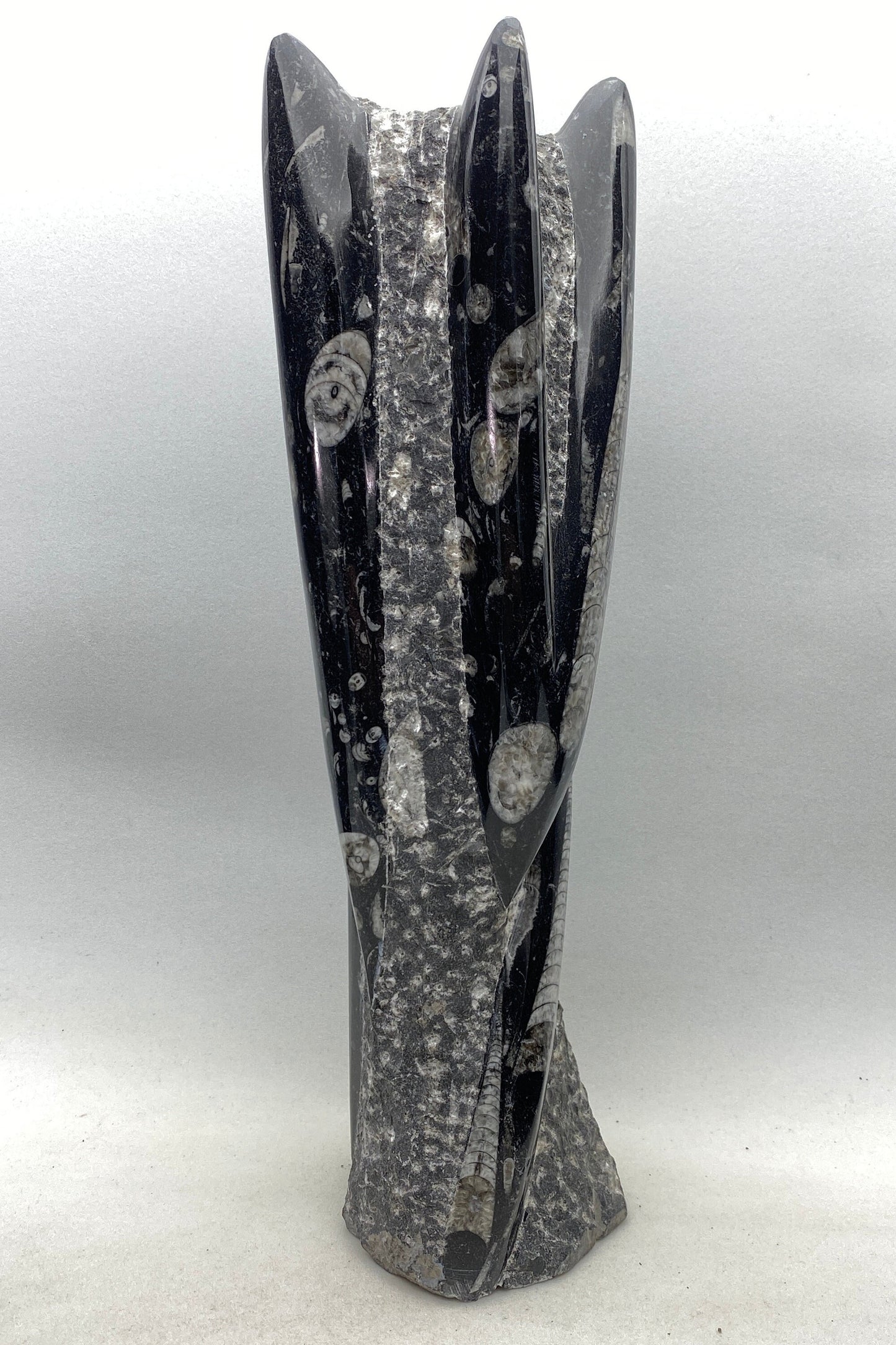 Tall Orthoceras fossil tower, large fossil cephalopod | fossil squid, fossil statue, fossil carving, stone carving, fossil mollusk