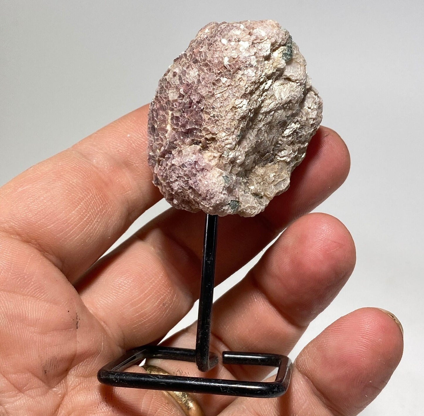 Mineral Specimens on a metal stand