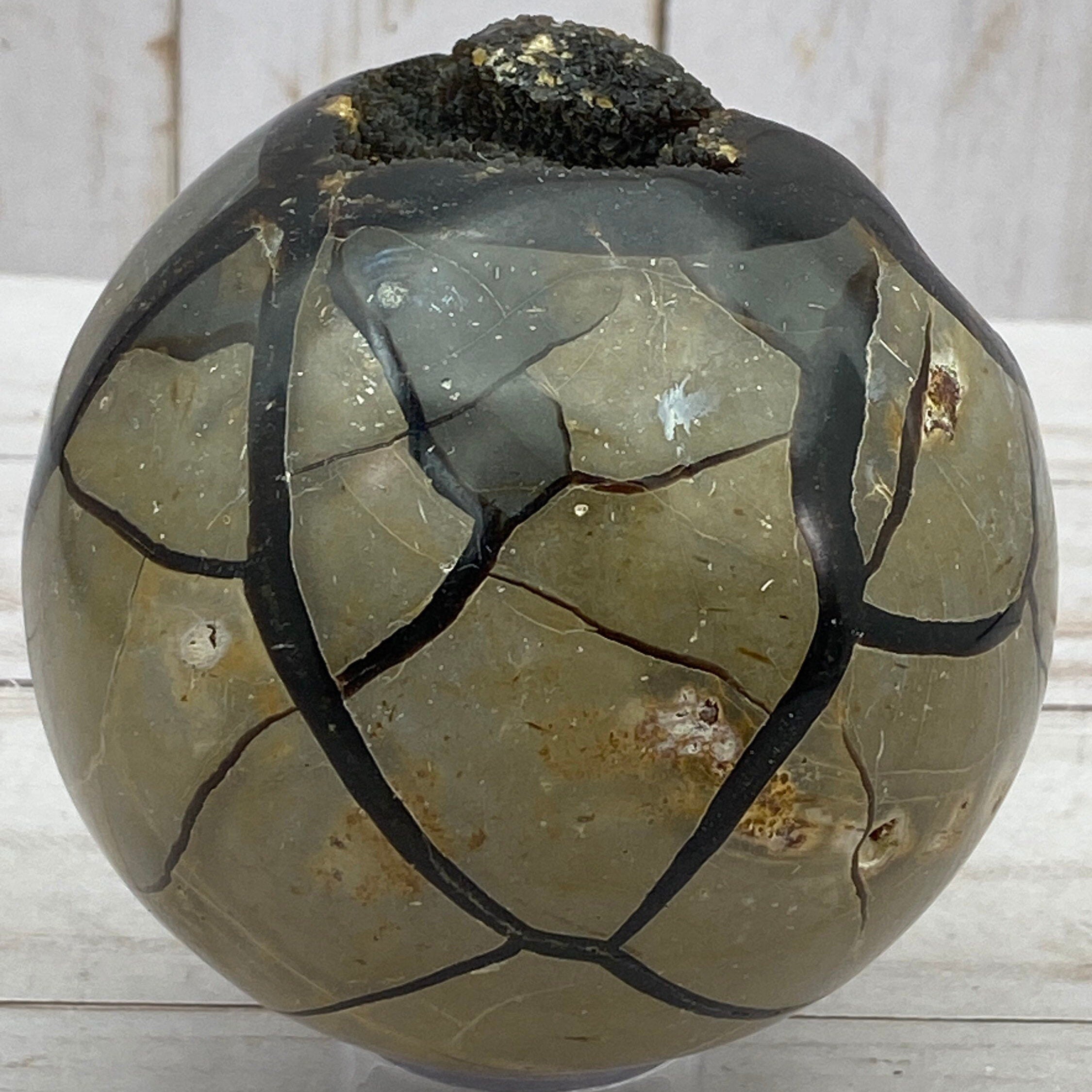 Dragons Egg SPHERE Septarian Nodule