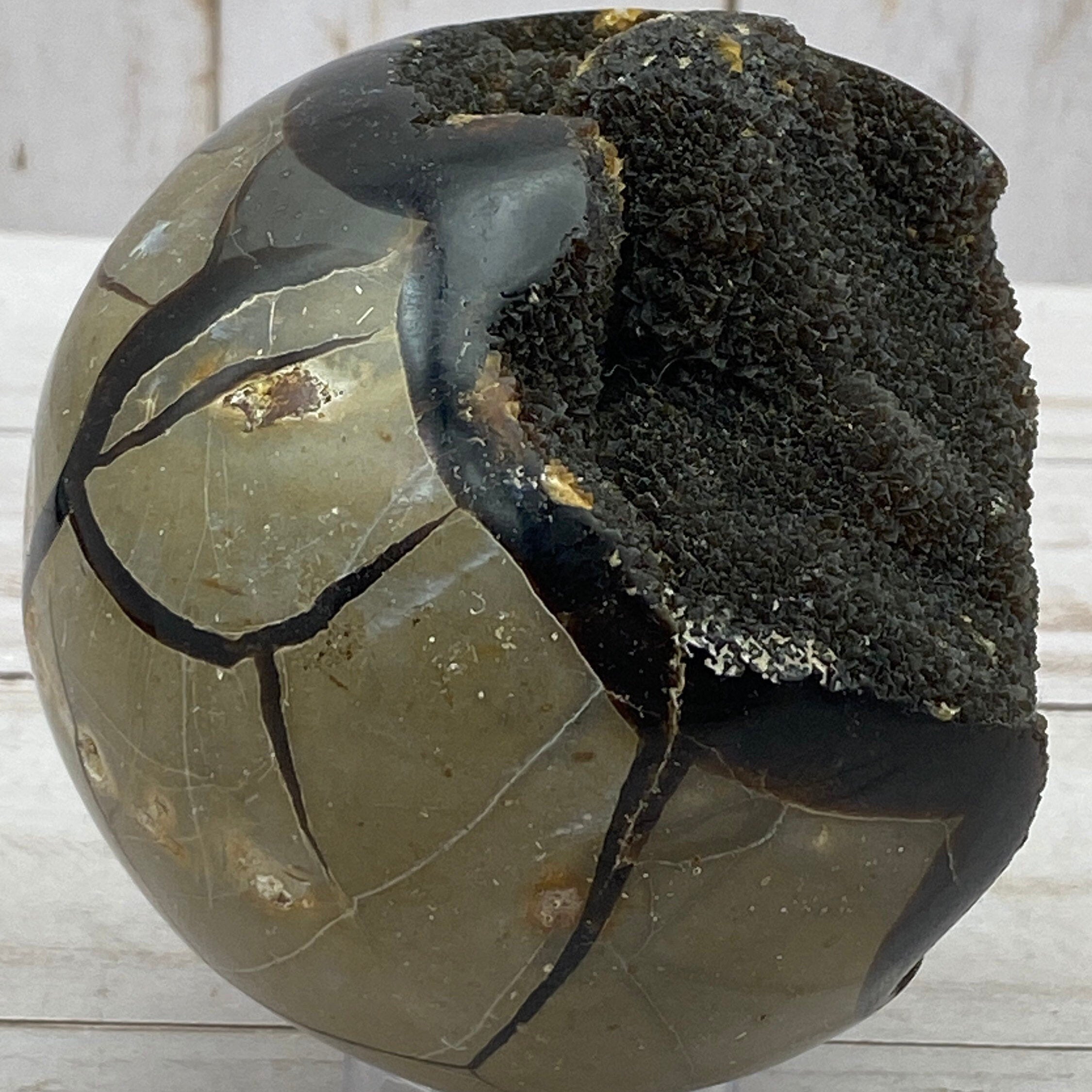 Dragons Egg SPHERE Septarian Nodule