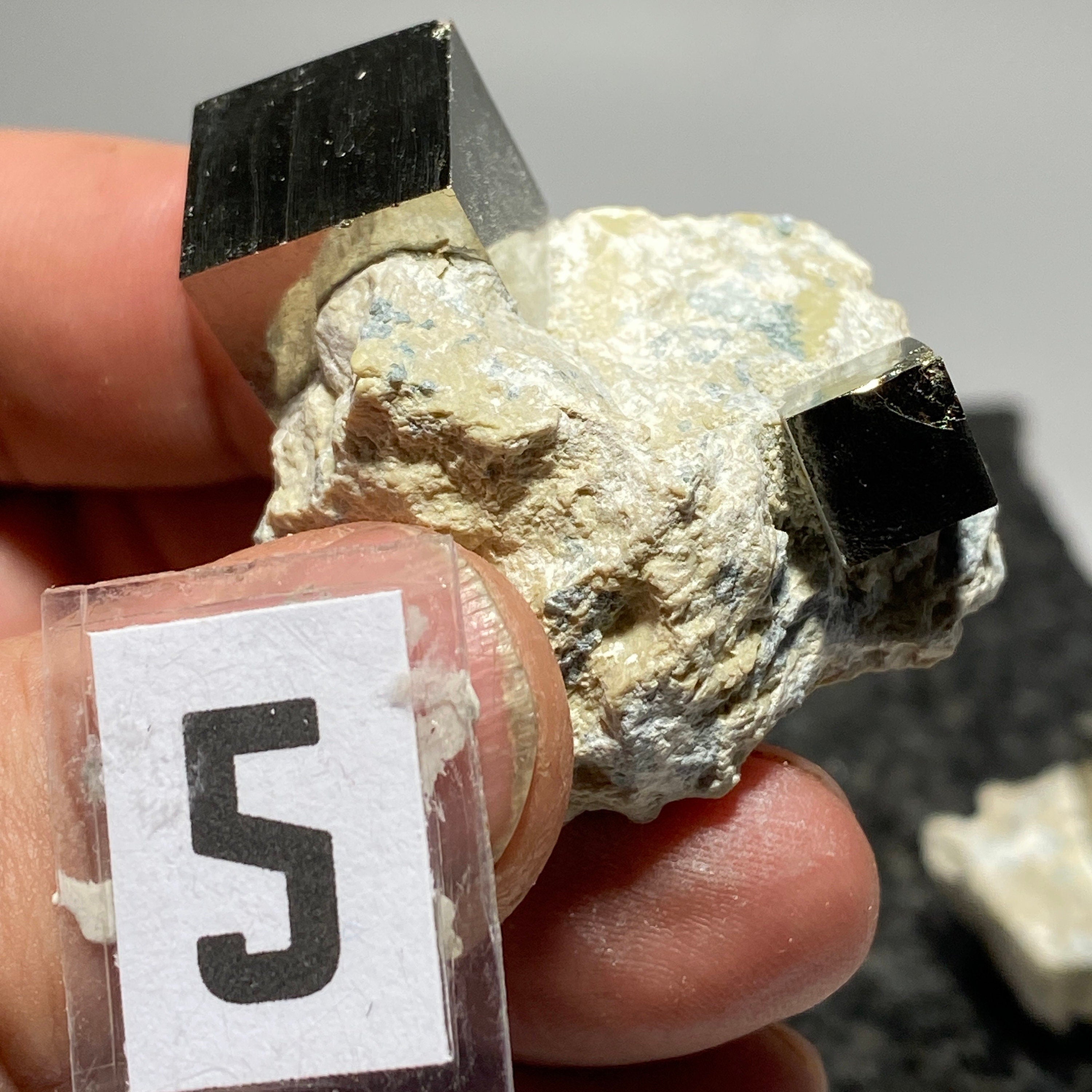 Small Pyrite cube crystal in Matrix from Navajun Spain | pyrite crystal, fools gold crystal, cubic pyrite specimen, iron sulfide, rock lover