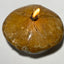 Rock Candle - fossilized sand dollar