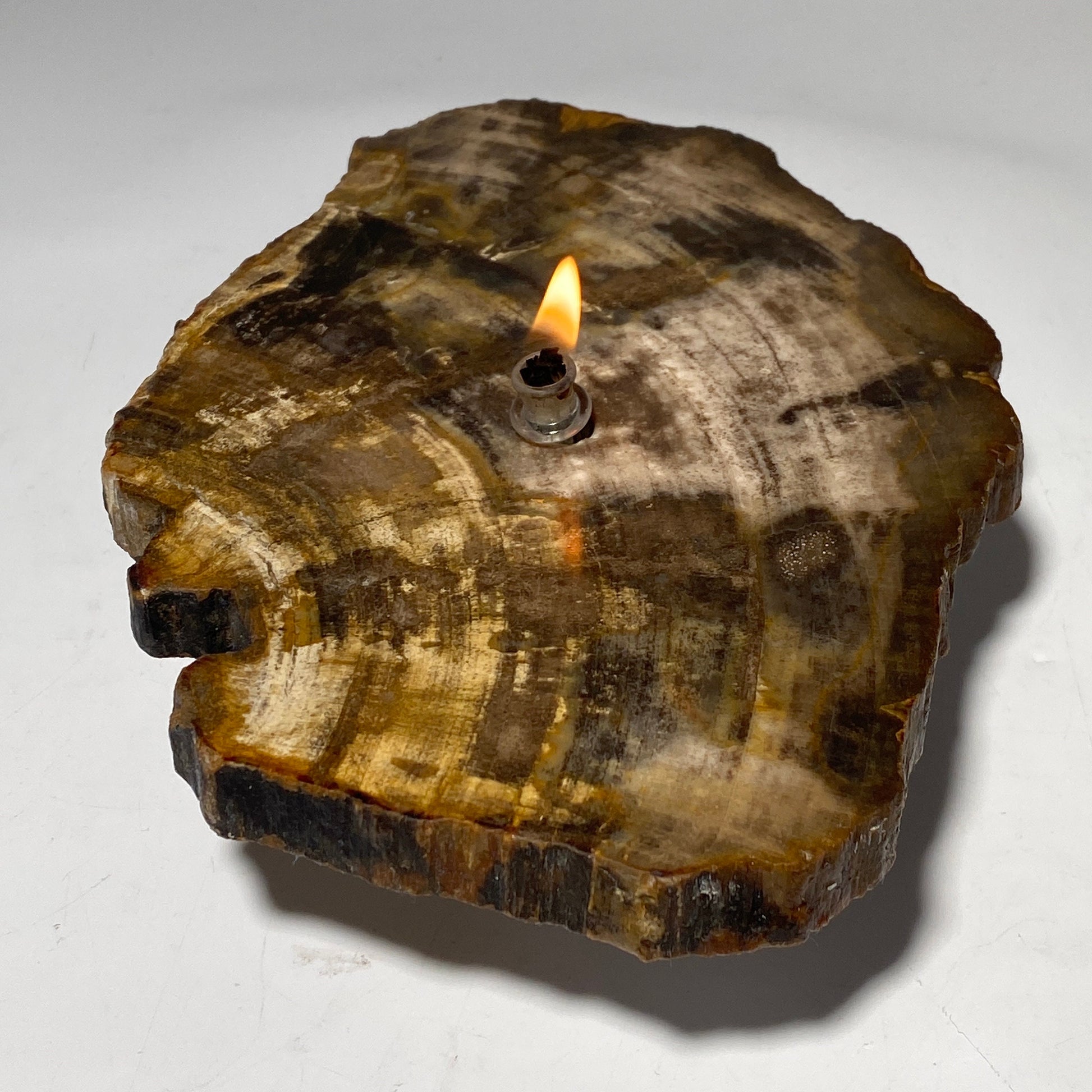 Petrified wood Rock Oil Lamp