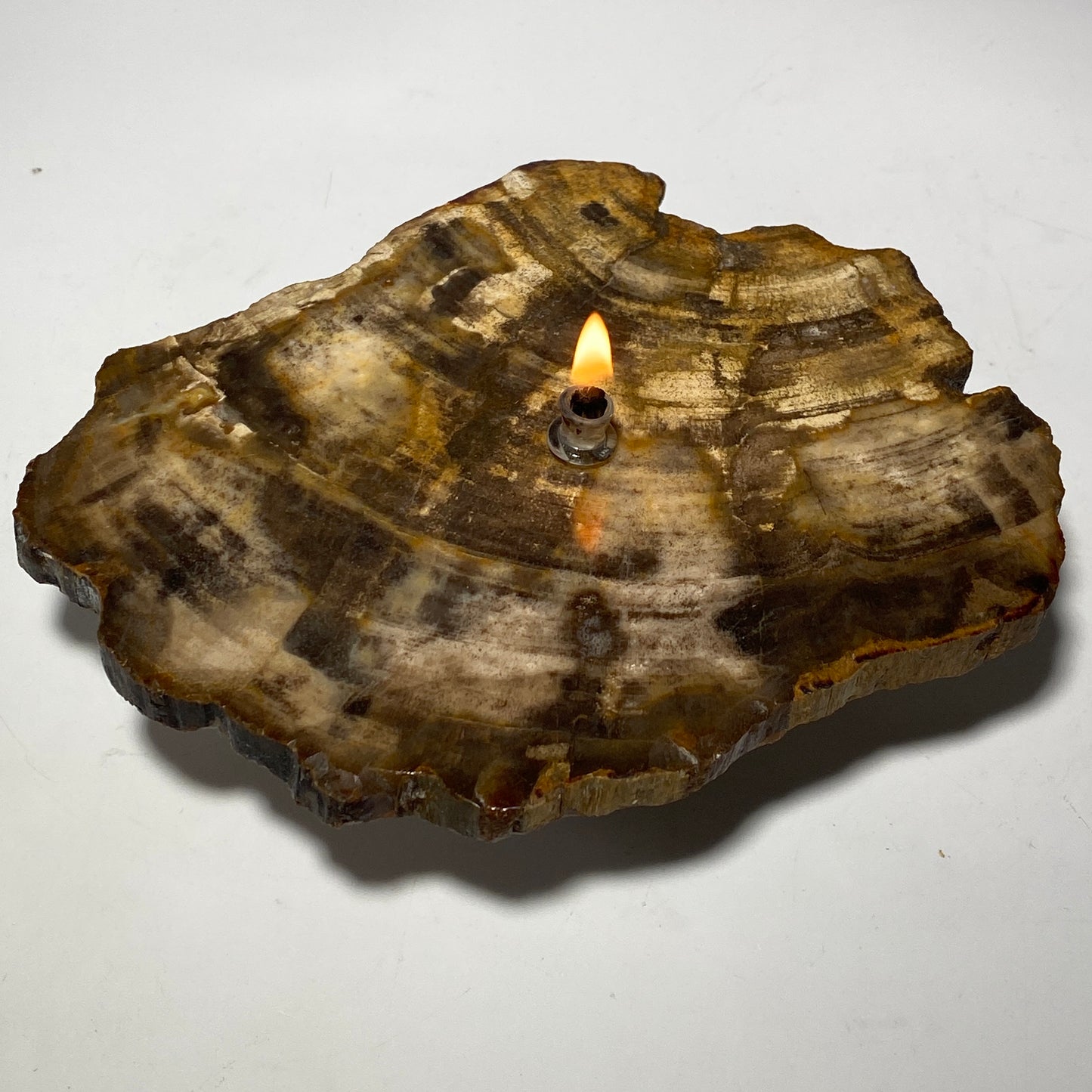 Rock Candle gift box - Petrified Wood