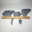 Trilobite fossils in Utah shale | YOU PICK fossil decor, Utah fossil, fossil collectible, trilobite specimen, Elrathia King
