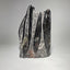 Chunky Orthoceras fossil tower, freestanding fossil cephalopod