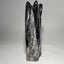 Chunky Orthoceras fossil tower, freestanding fossil cephalopod